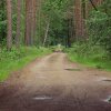 Tour 12: Darß - 1